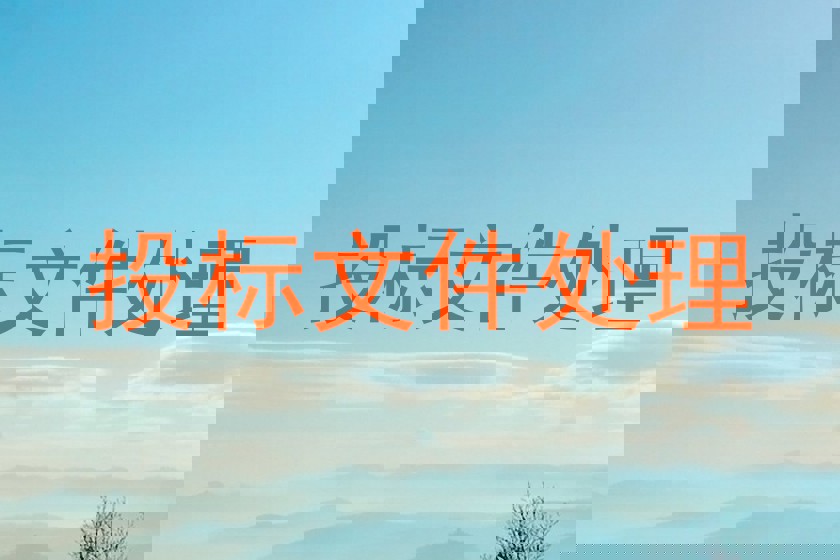 投标文件处理