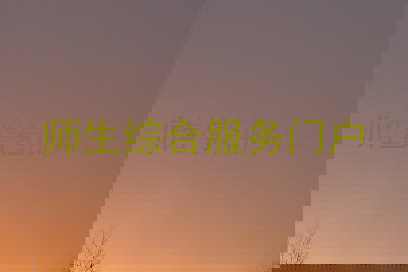 师生综合服务门户