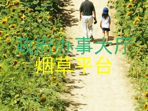 政府办事大厅|烟草平台