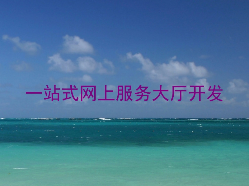 一站式网上服务大厅开发