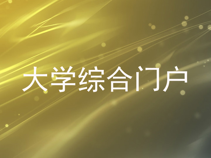 大学综合门户