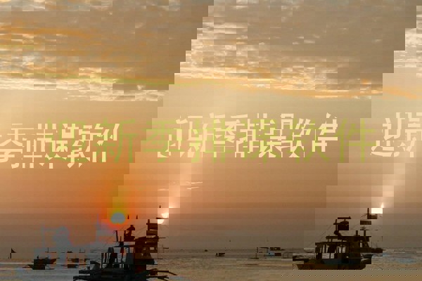 迎新季排课软件
