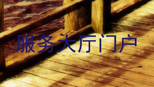 服务大厅门户