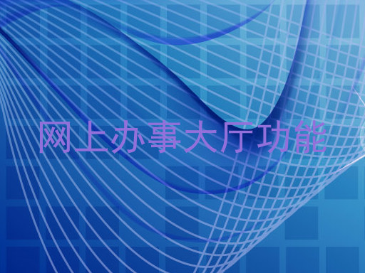 网上办事大厅功能