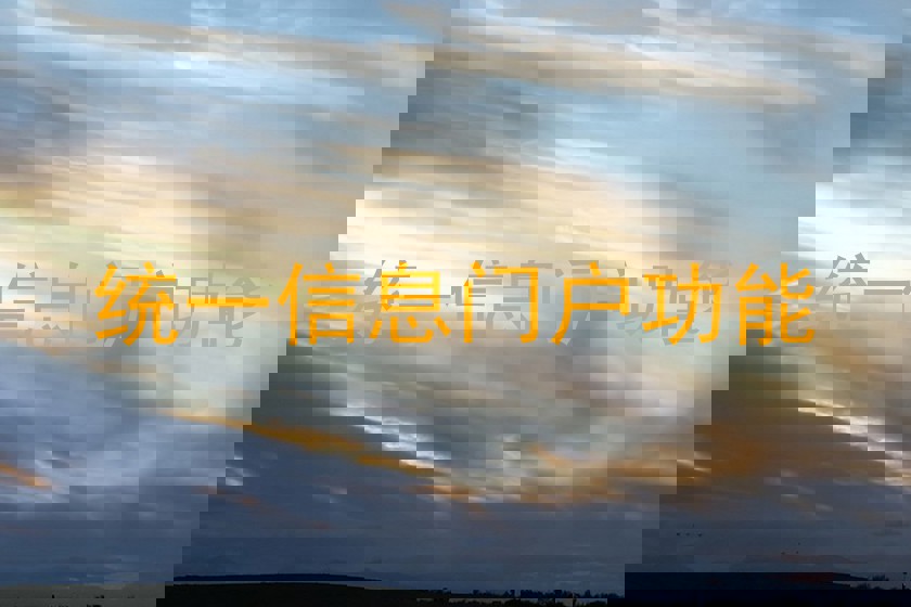 统一信息门户功能