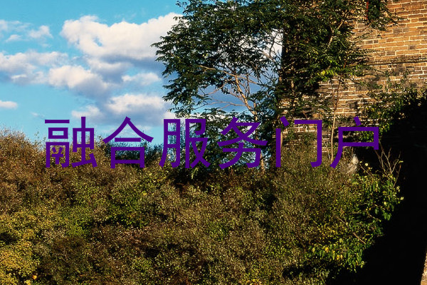 融合服务门户