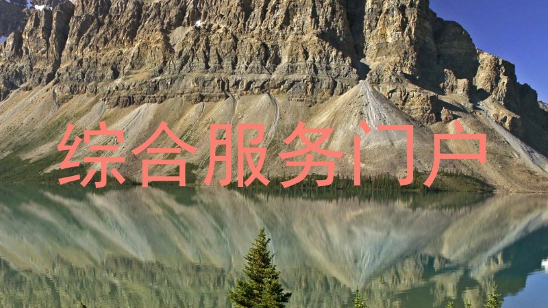 综合服务门户