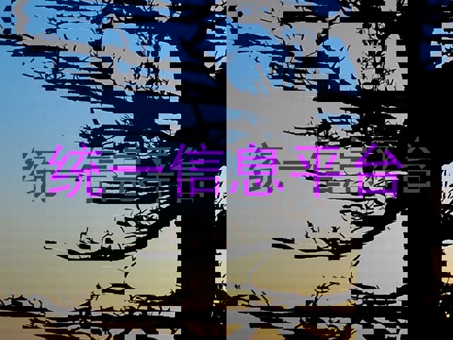 统一信息平台