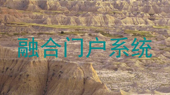 融合门户系统