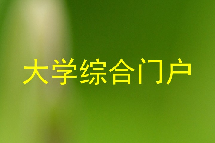 大学综合门户