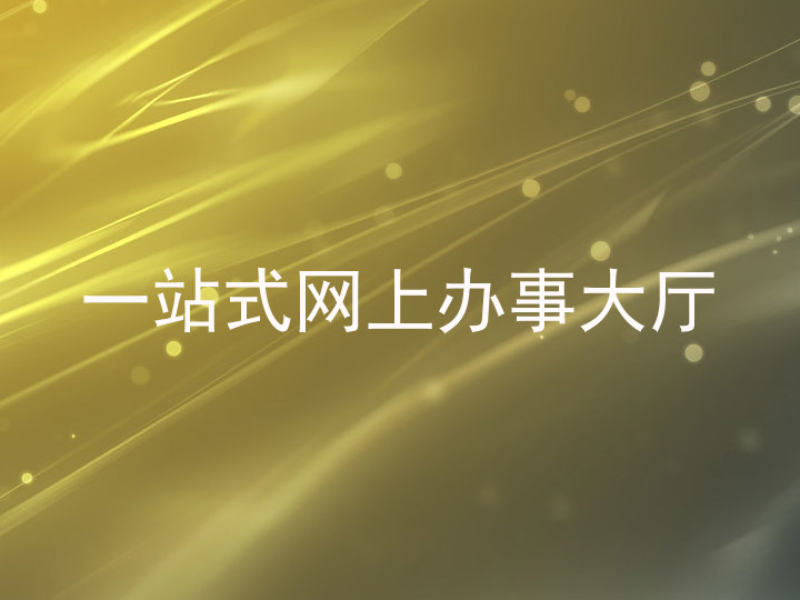 一站式网上办事大厅