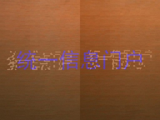 统一信息门户