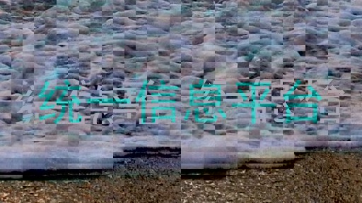 统一信息平台