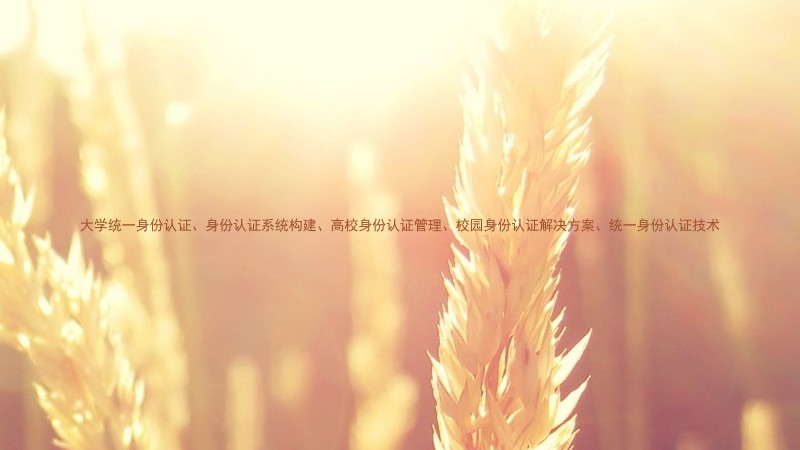 大学统一身份认证、身份认证系统构建、高校身份认证管理、校园身份认证解决方案、统一身份认证技术