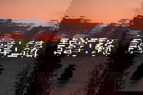 青岛学工系统