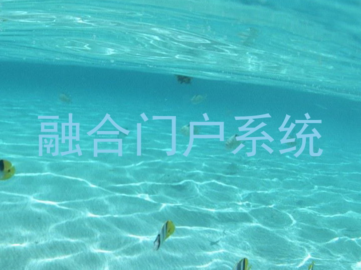 融合门户系统