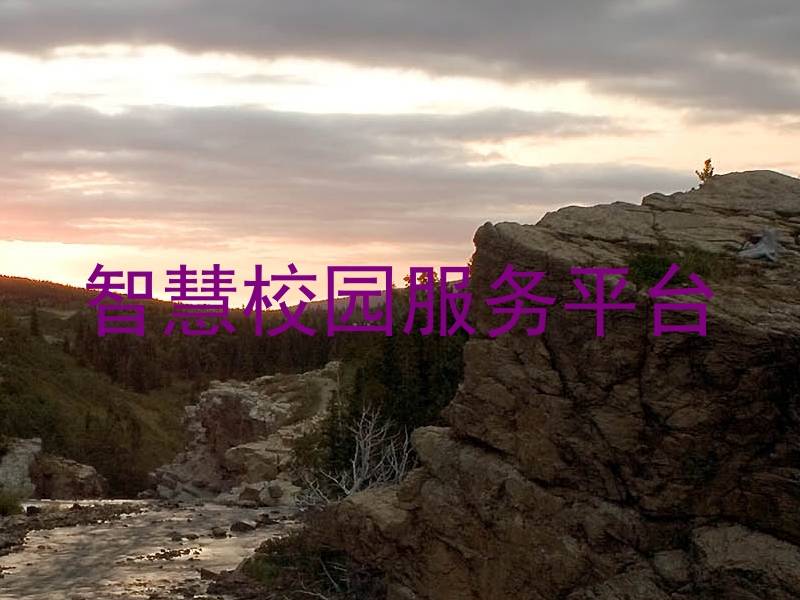 智慧校园服务平台