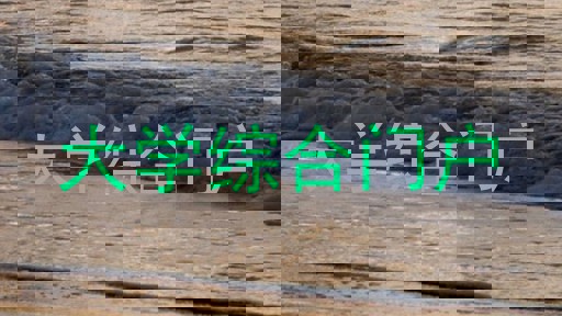 大学综合门户