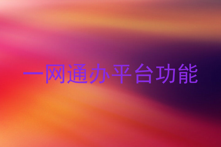 一网通办平台功能