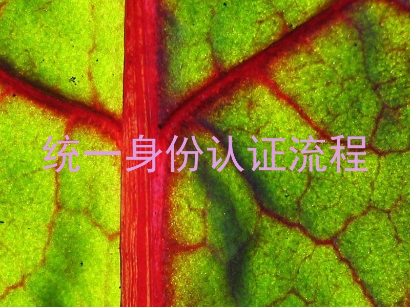 统一身份认证流程