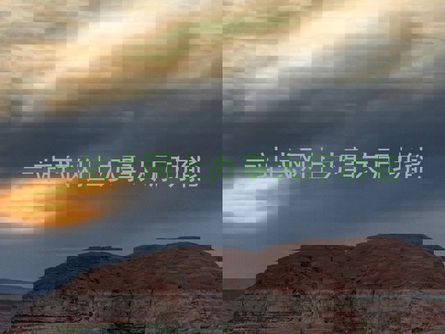一站式网上办事大厅功能