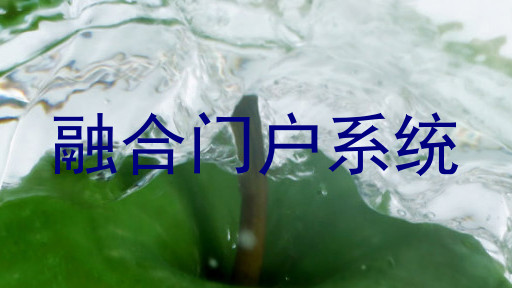 融合门户系统