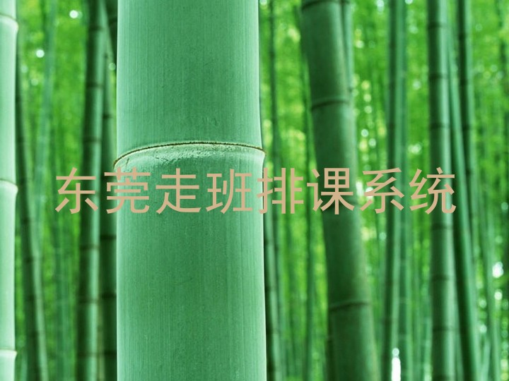 东莞走班排课系统