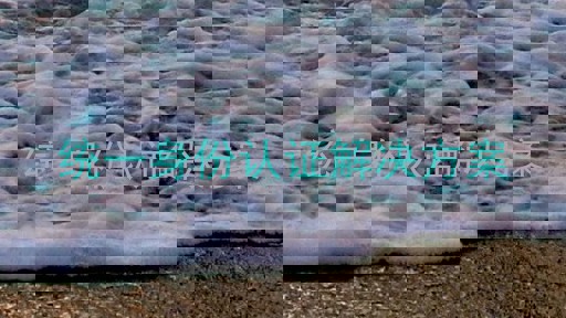统一身份认证解决方案