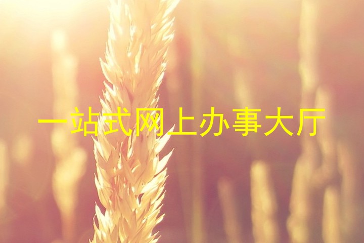 一站式网上办事大厅