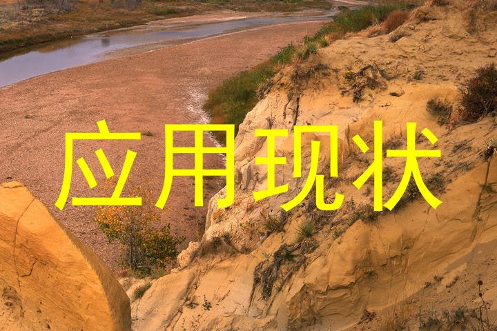 应用现状