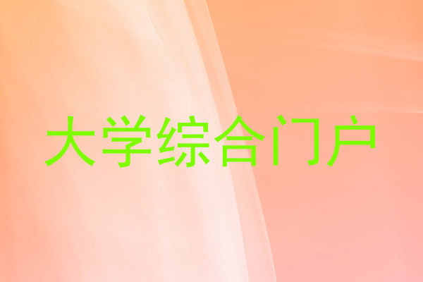 大学综合门户