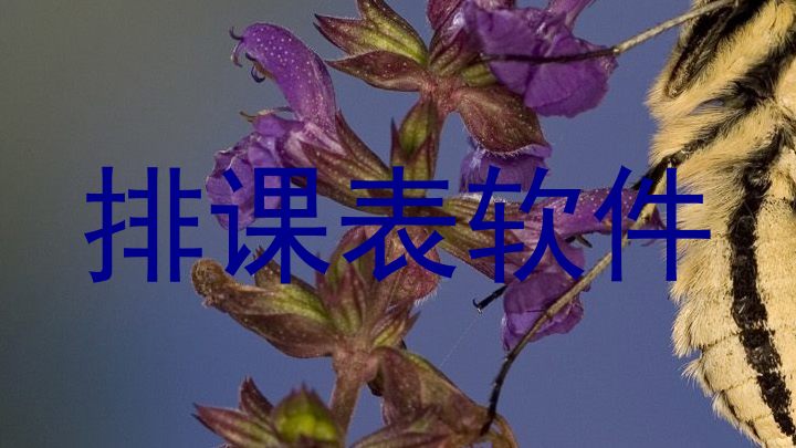 排课表软件