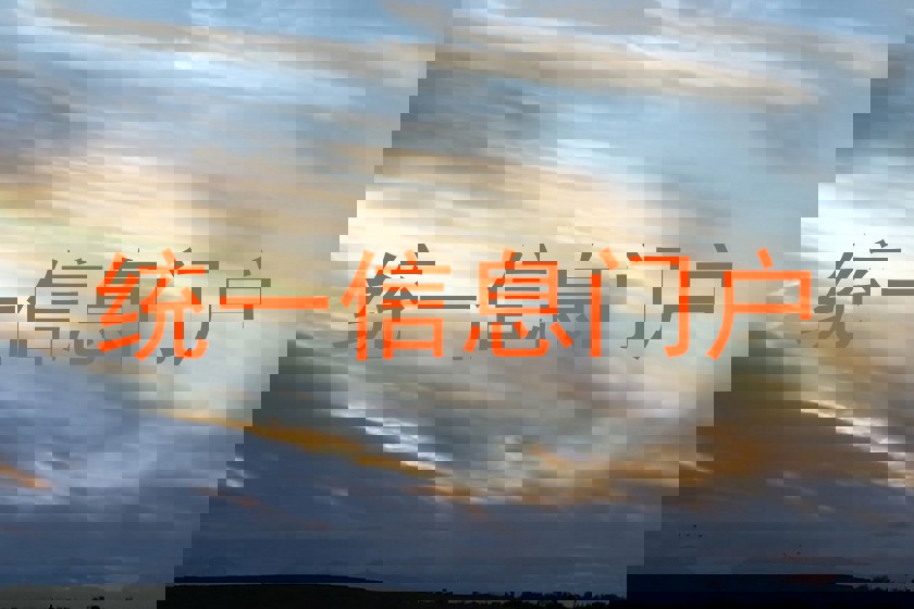 统一信息门户
