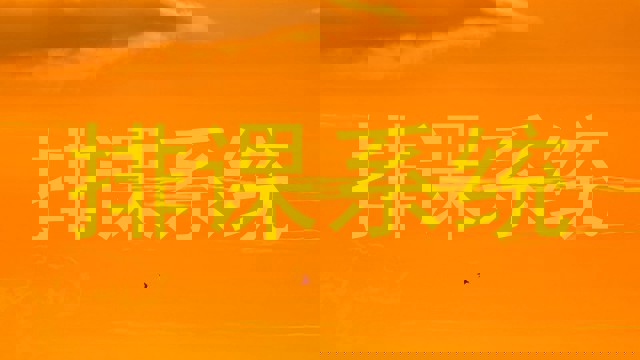 排课系统