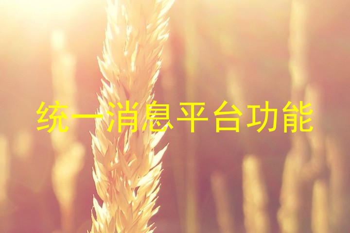 统一消息平台功能