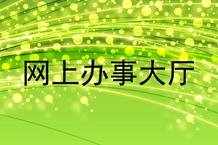 网上办事大厅
