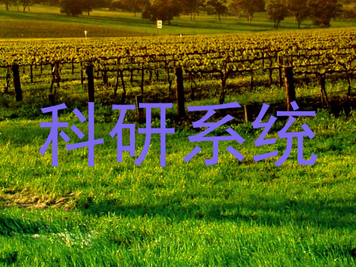 科研系统