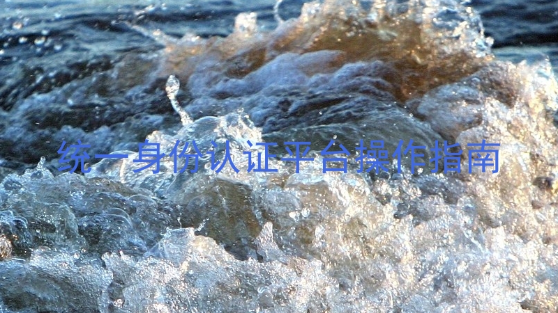 统一身份认证平台操作指南