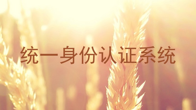 统一身份认证系统