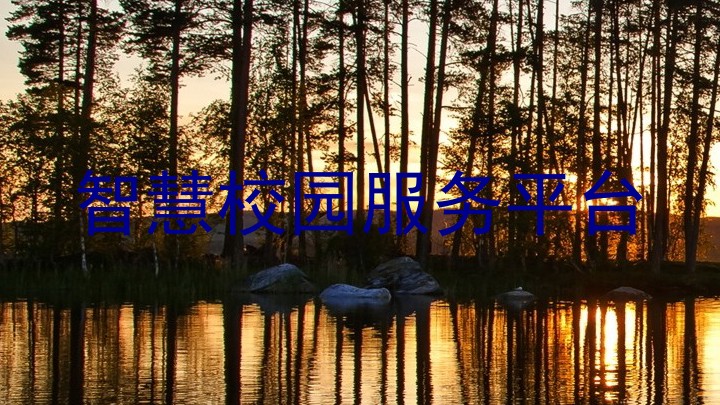 智慧校园服务平台