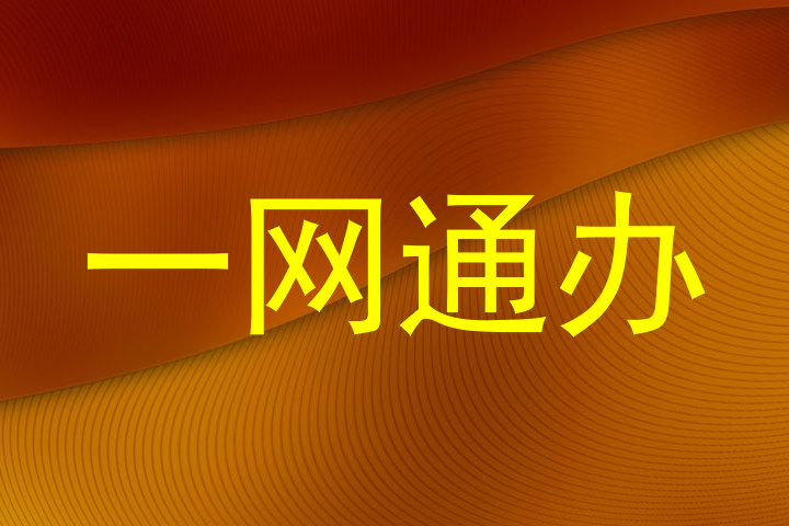 一网通办