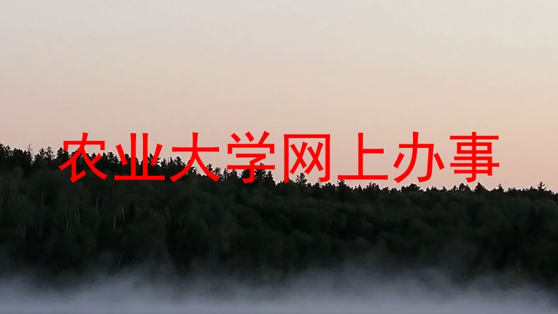 农业大学网上办事
