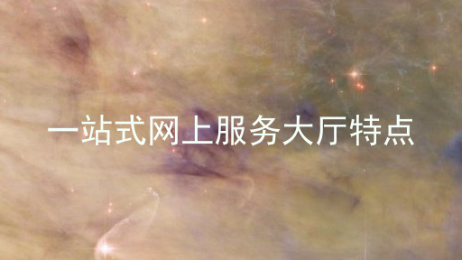 一站式网上服务大厅特点