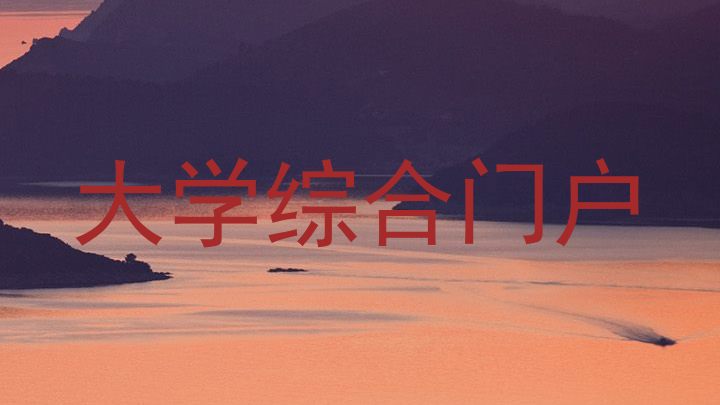 大学综合门户
