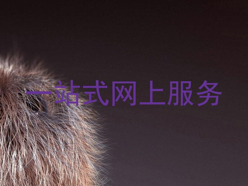 一站式网上服务