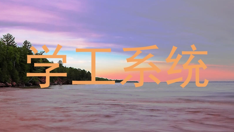 学工系统