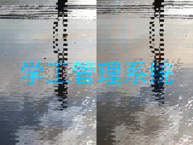 学工管理系统