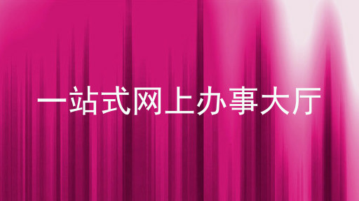 一站式网上办事大厅