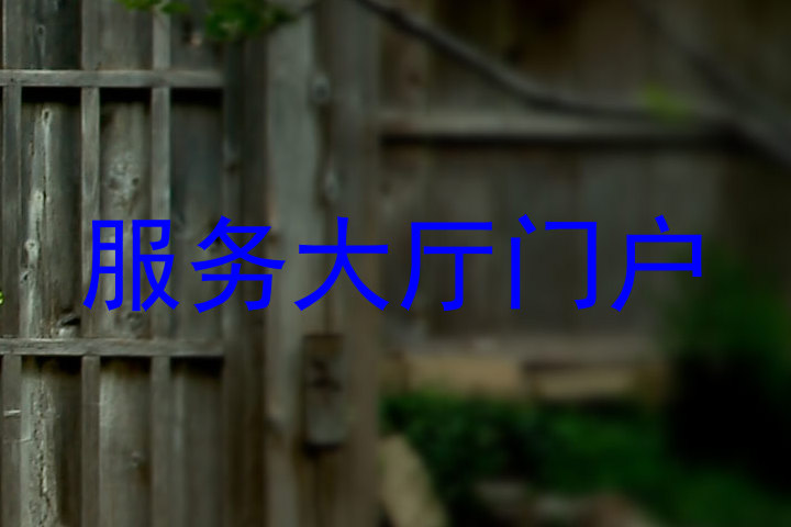 服务大厅门户
