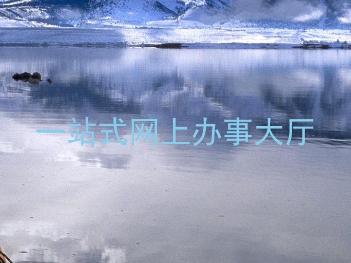 一站式网上办事大厅